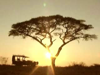صور Chobe National Park متنزه وطني